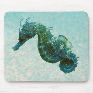 Short-Snouted Seahorse Crimea, Russia Mouse Pad