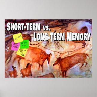 Short-term vs. Long-term Memory Poster