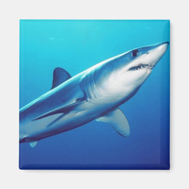 Shortfin Mako Shark Magnet (Front)