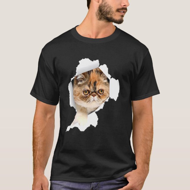 Shorthair Cats Torn Cloth Kitten 1 T-Shirt (Front)