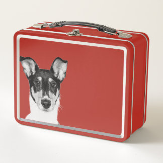 Shorthair Collie Metal Lunch Box