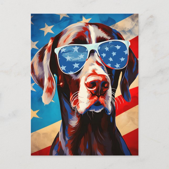Shorthaired Pointer 4th of July Independence day Postcard (Front)