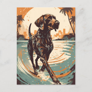 Shorthaired Pointer at a beach during sunset Postcard