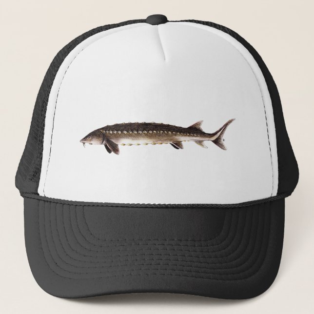 Shortnose Sturgeon - Acipenser brevirostrum Trucker Hat (Front)