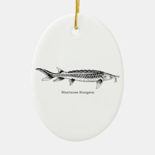 Shortnose Sturgeon Ceramic Tree Decoration