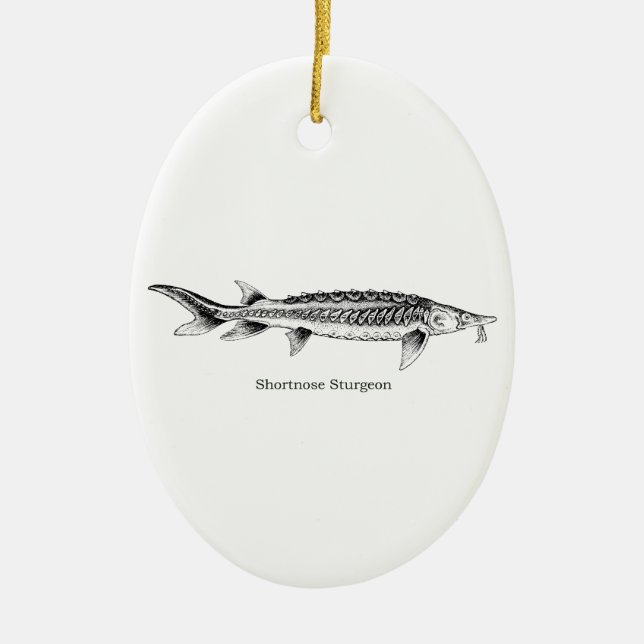 Shortnose Sturgeon Ceramic Tree Decoration (Front)