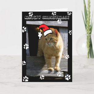 SHORTY5X7 christmas Holiday Card