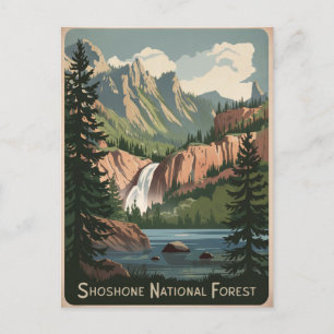 Shoshone National Forest Vintage Postcard