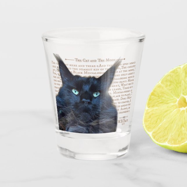 Shot glass - black Maine Coon cat (Front)