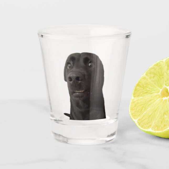 Shot Glass Scared Dog Meme (Front)