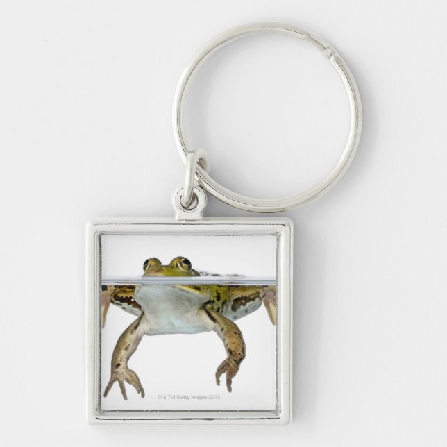 Shot of a Edible frog surfacing in front of a Key Ring (Front)