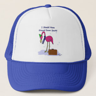 Should Have Stayed South Hat