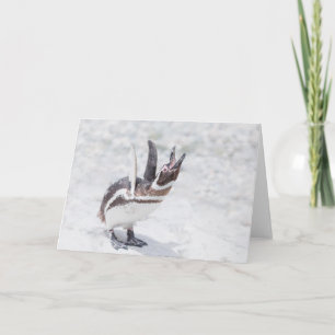 Shouting Penguin Card