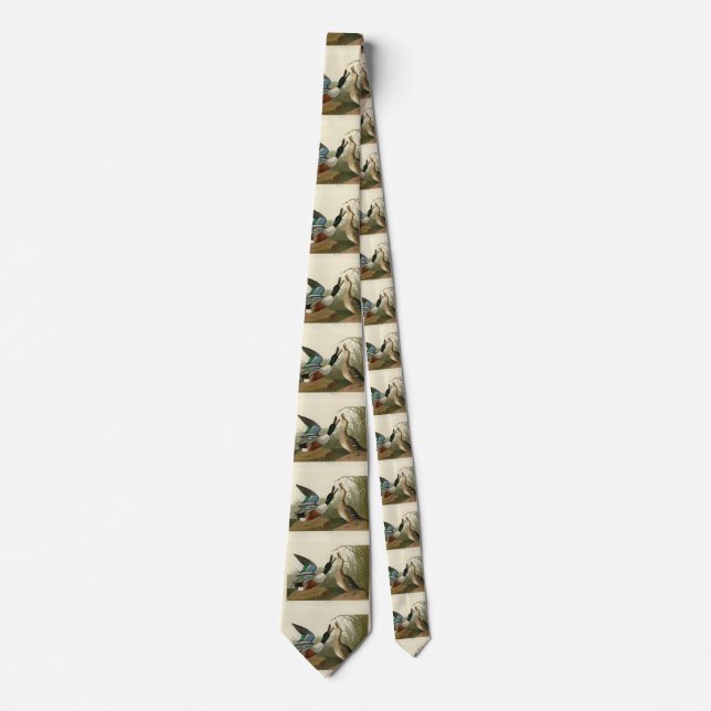 Shoveller Duck - from Audubon's Birds of America Tie (Front)