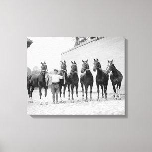 Show Horses, 1912 Canvas Print