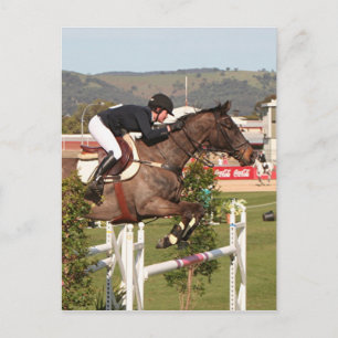 Show jumping horse and rider postcard