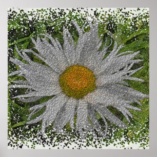 Show Me A Daisy #1 Poster