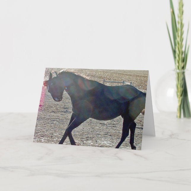 Show Off Card (Front)