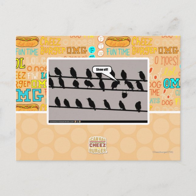 Show off! postcard (Front)