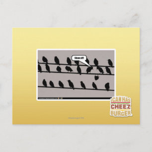 Show off! postcard