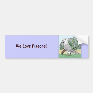 Show Racer and Flowers Colour Bumper Sticker