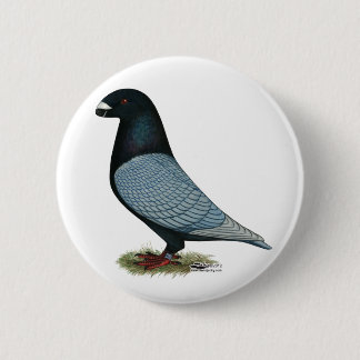 Show Racer Andalusian 6 Cm Round Badge