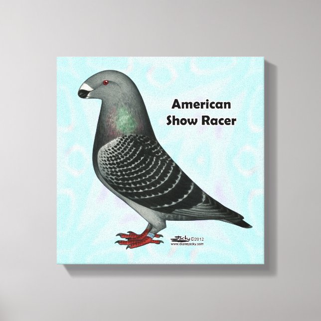 Show Racer ASR Canvas Print (Front)