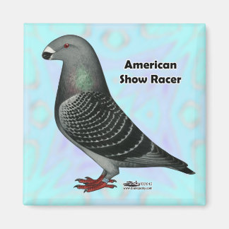 Show Racer ASR Magnet