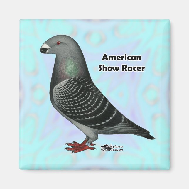 Show Racer ASR Magnet (Front)