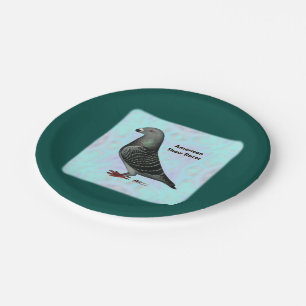 Show Racer ASR Paper Plate