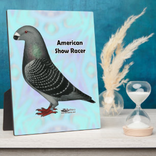 Show Racer ASR Plaque