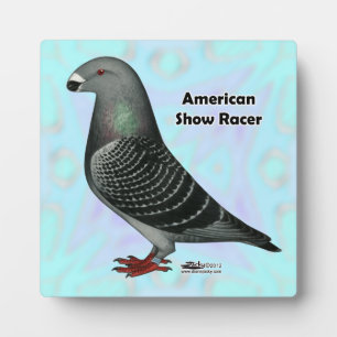 Show Racer ASR Plaque