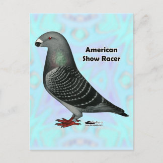 Show Racer ASR Postcard