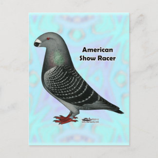 Show Racer ASR Postcard