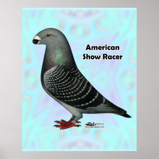 Show Racer ASR Poster