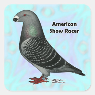 Show Racer ASR Square Sticker