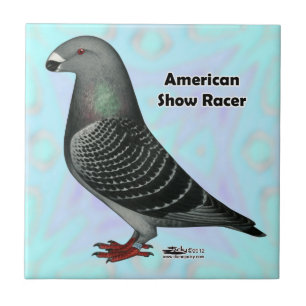 Show Racer ASR Tile