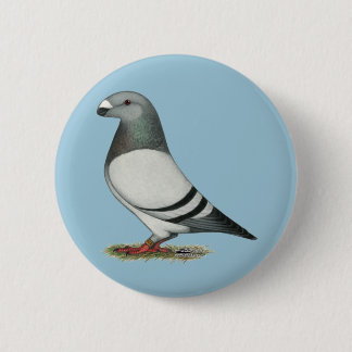 Show Racer Blue Bar Pigeon 6 Cm Round Badge