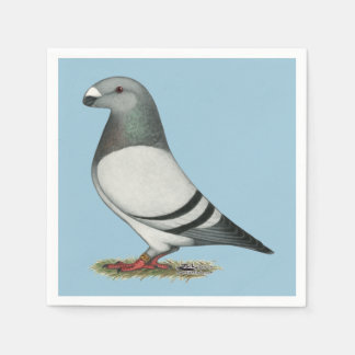 Show Racer Blue Bar Pigeon Napkin