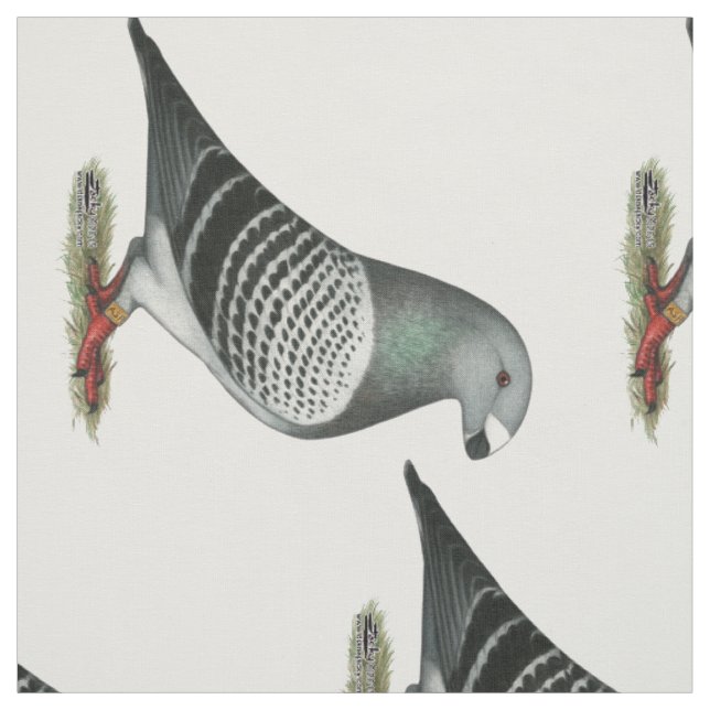 Show Racer Blue Chequered Pigeon Fabric (Swatch)