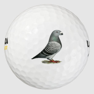 Show Racer Blue Chequered Pigeon Golf Balls