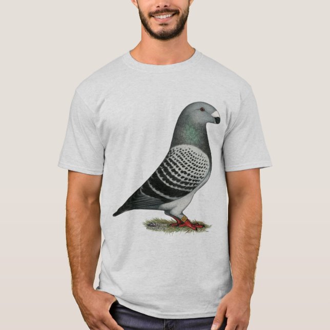 Show Racer Blue Chequered Pigeon T-Shirt (Front)
