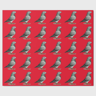 Show Racer Blue Chequered Pigeon Wrapping Paper