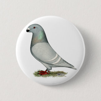 Show Racer Concept Hen 6 Cm Round Badge