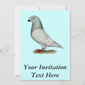 Show Racer Concept Hen Invitation