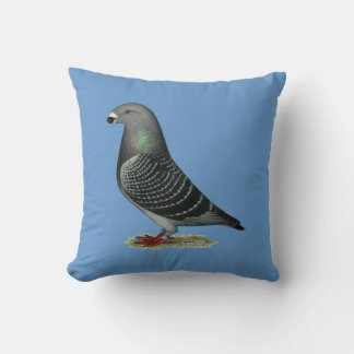 Show Racer Dark Check Cushion