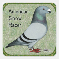 Show Racer Framed