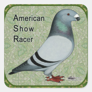 Show Racer Framed Square Sticker