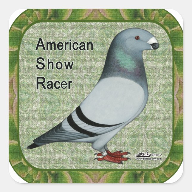 Show Racer Framed Square Sticker (Front)