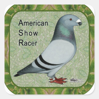 Show Racer Framed Square Sticker